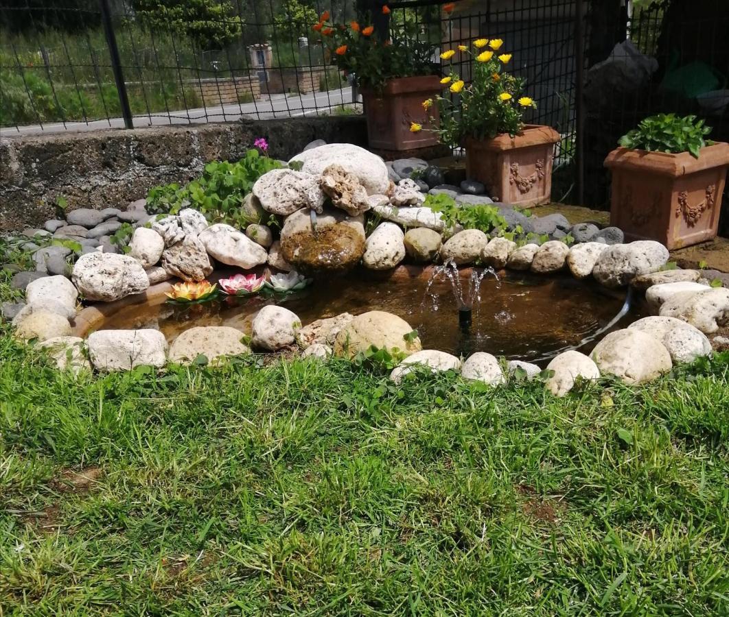 B&B Maremma'S Dream Catabbio Dış mekan fotoğraf