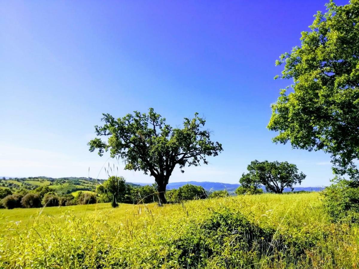B&B Maremma'S Dream Catabbio Dış mekan fotoğraf