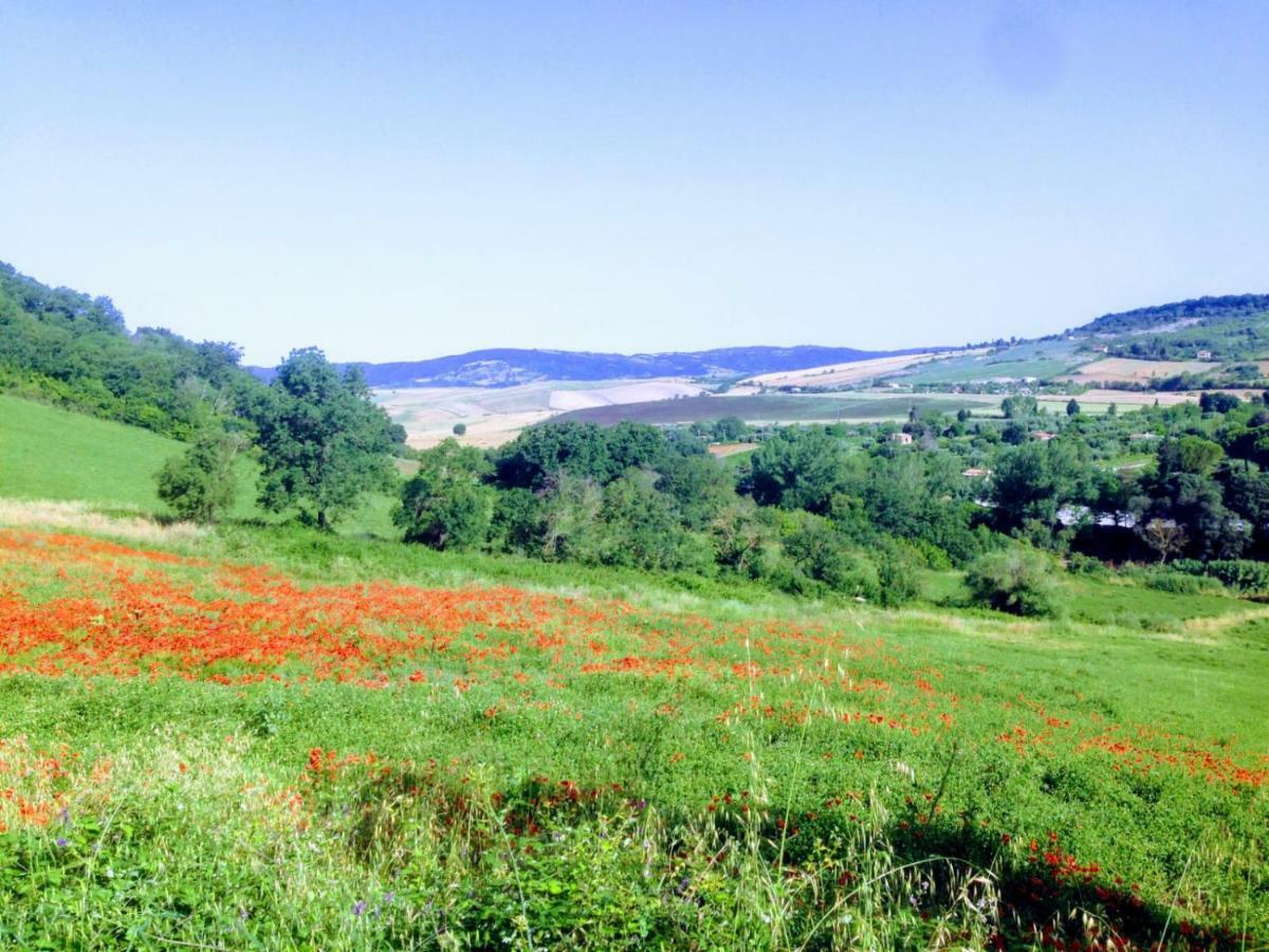 B&B Maremma'S Dream Catabbio Dış mekan fotoğraf