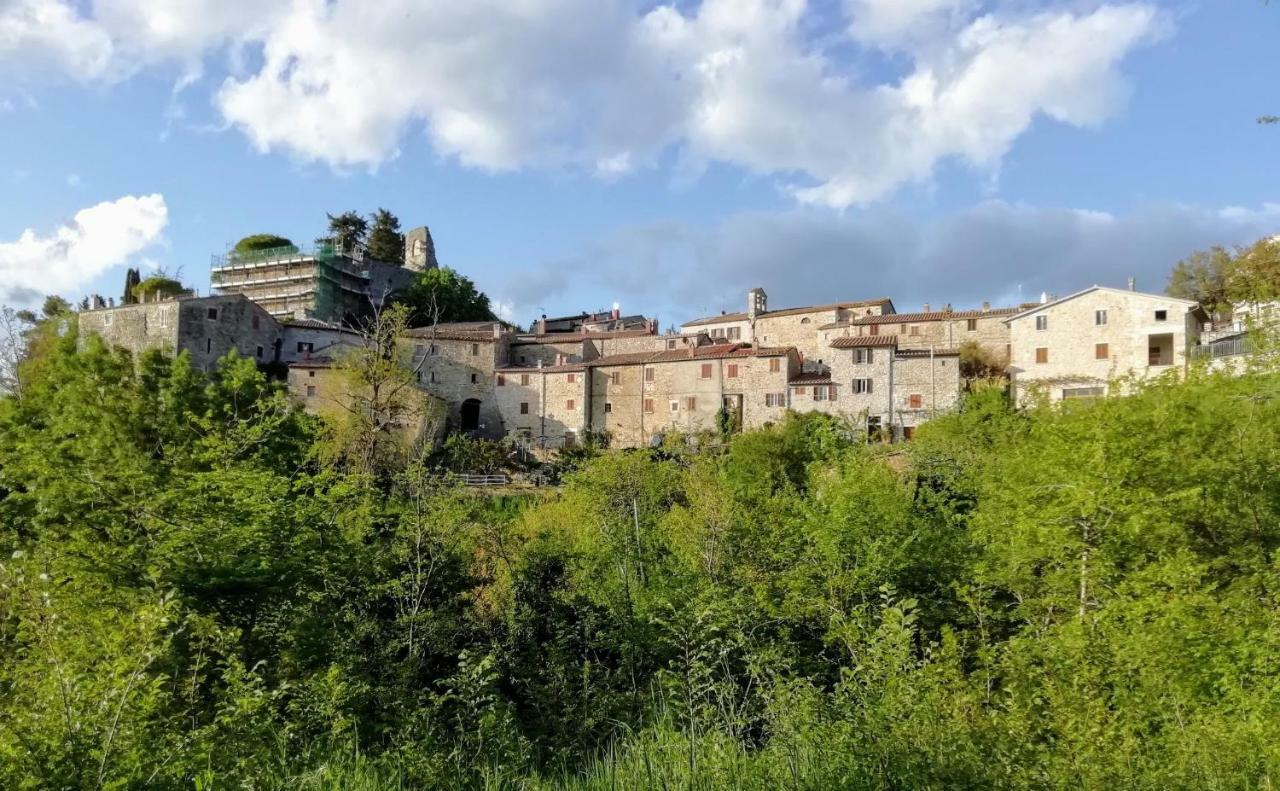 B&B Maremma'S Dream Catabbio Dış mekan fotoğraf